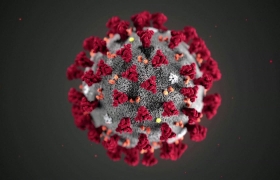 Imagen de Coronavirus
