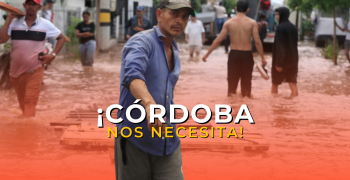 Ayudas cordoba